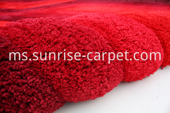 Microfiber 3D Rug Carpet 